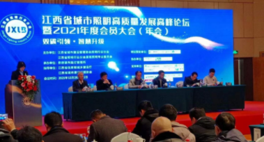 DJTY.COM大江体育(中国大陆)科技公司电保受邀参加江西省城市照明高质量发展高峰论坛