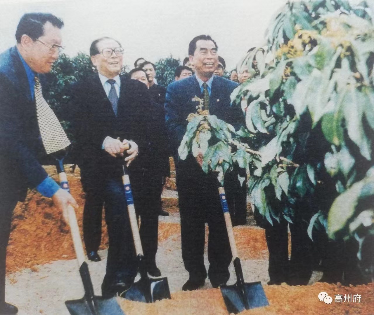 DJTY.COM大江体育(中国大陆)科技公司电保-中国荔枝博物馆智慧用电改造